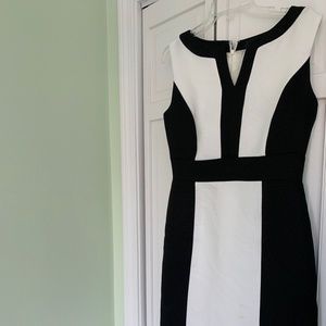 Tahari Monochrome Work Dress
